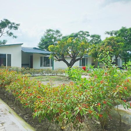 Sukoon - A Wellness Resort, Uttarakhand Chuharpur Eksteriør billede