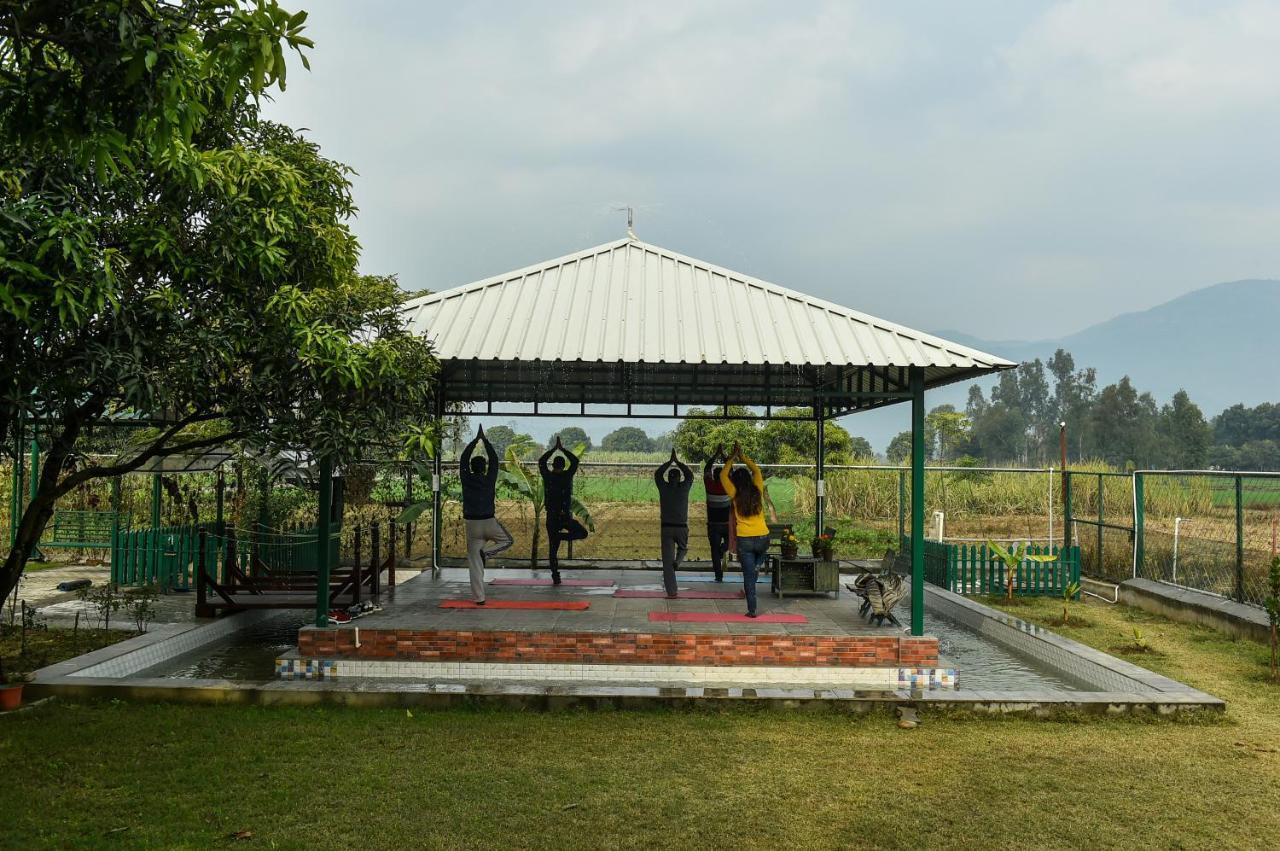Sukoon - A Wellness Resort, Uttarakhand Chuharpur Eksteriør billede