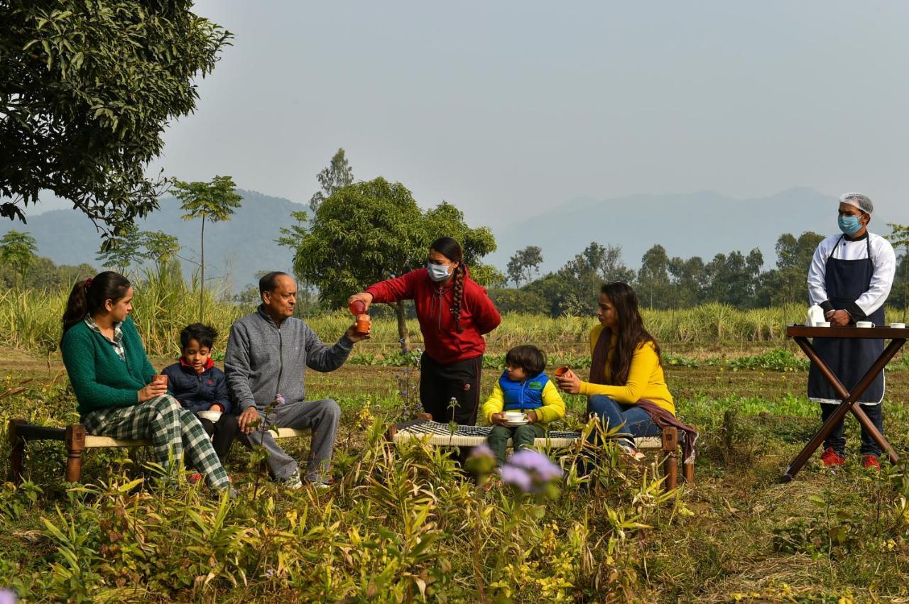 Sukoon - A Wellness Resort, Uttarakhand Chuharpur Eksteriør billede