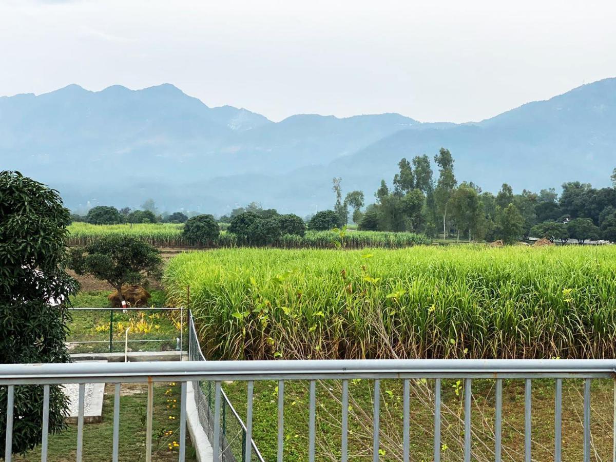 Sukoon - A Wellness Resort, Uttarakhand Chuharpur Eksteriør billede