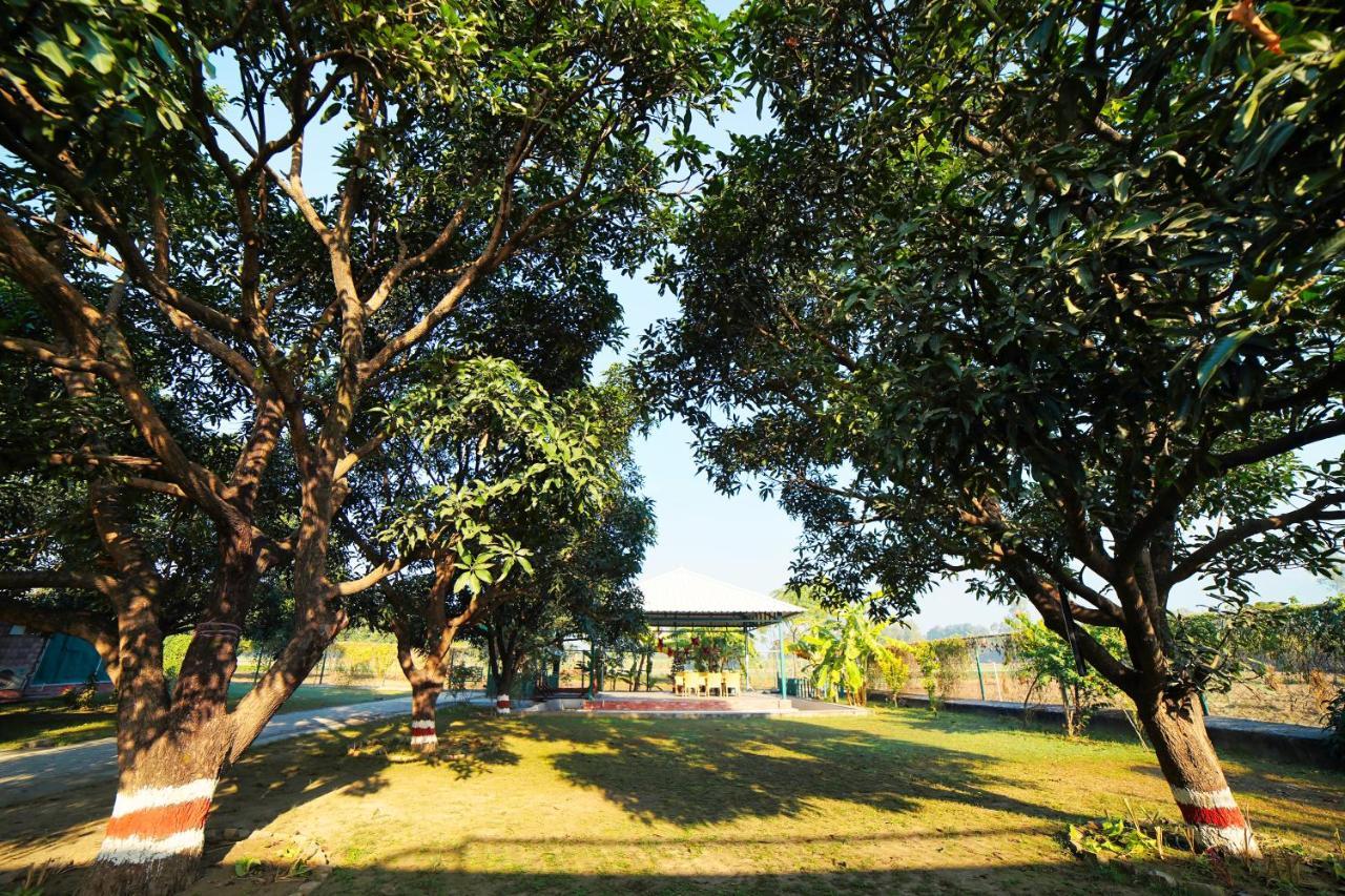Sukoon - A Wellness Resort, Uttarakhand Chuharpur Eksteriør billede