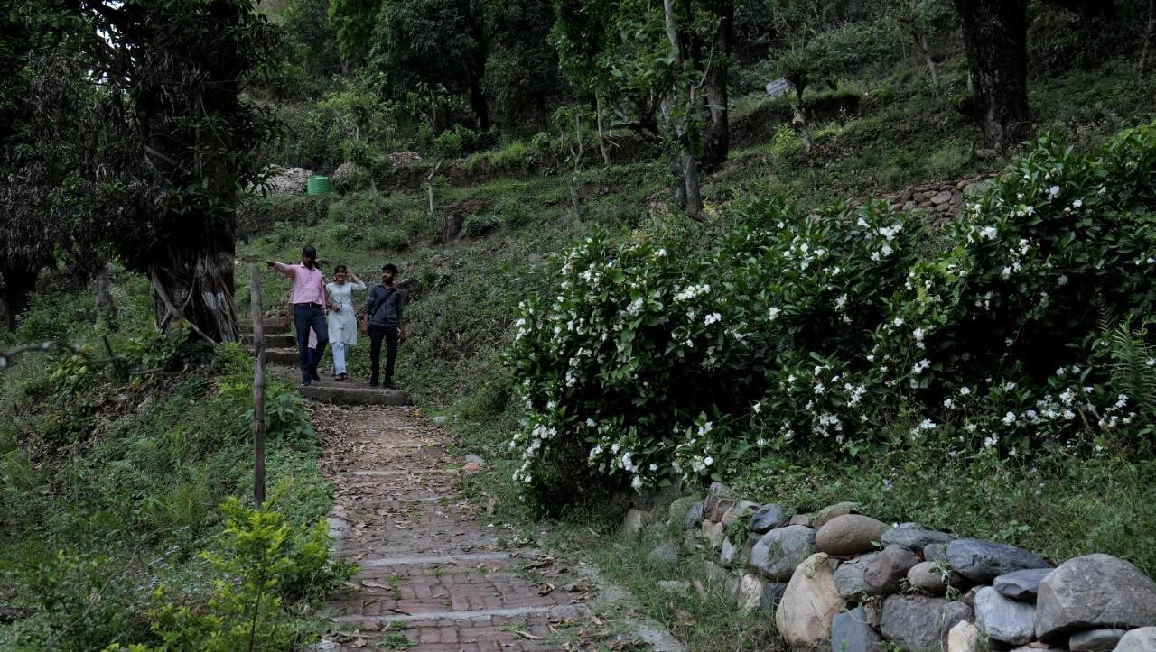 Sukoon - A Wellness Resort, Uttarakhand Chuharpur Eksteriør billede