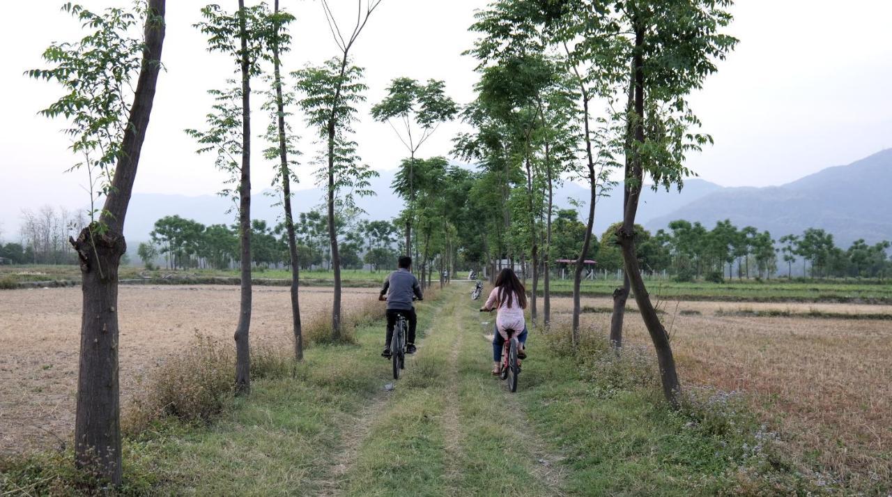 Sukoon - A Wellness Resort, Uttarakhand Chuharpur Eksteriør billede